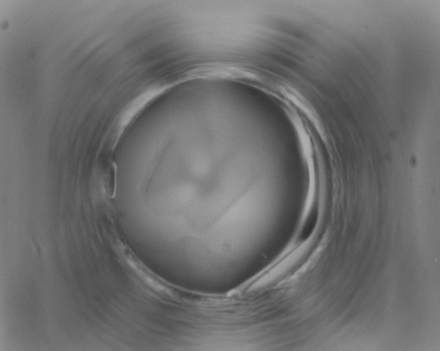 X0000061751481200512231513