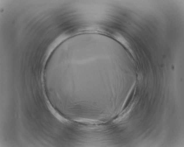 X0000061751482200512231513