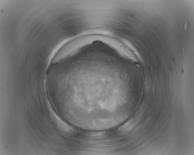 X0000061751484200512231513