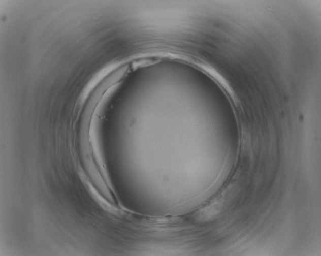 X0000061751485200512231513