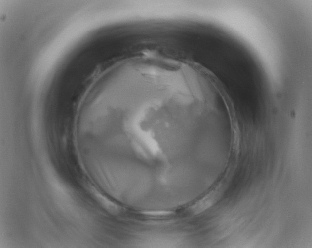 X0000061751487200512231513