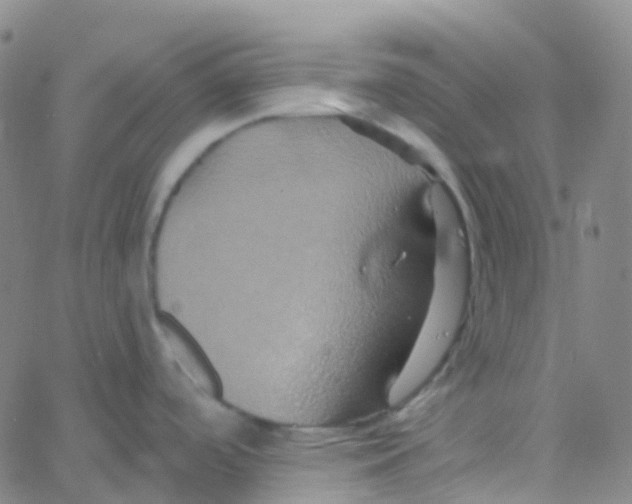 X0000061751488200512231513