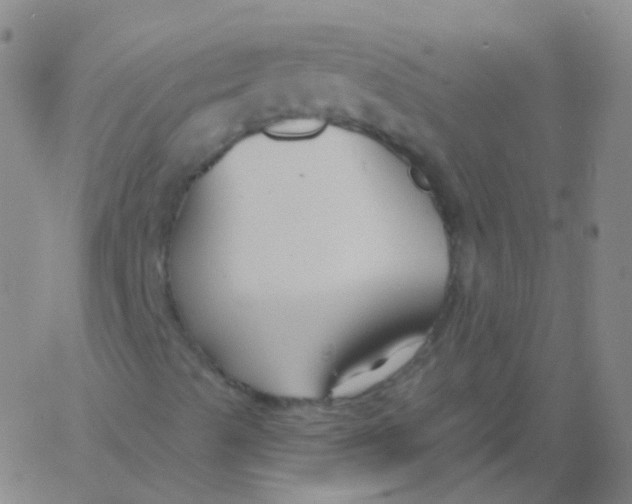 X0000061751489200512231512