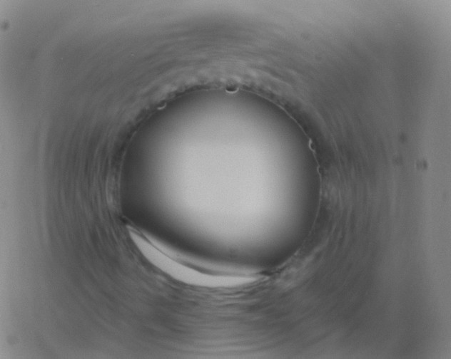 X0000061751490200512231512