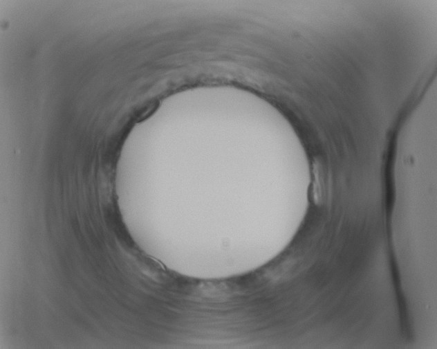 X0000061751491200512231512