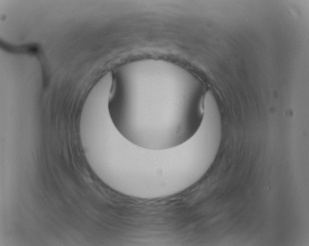 X0000061751492200512231512