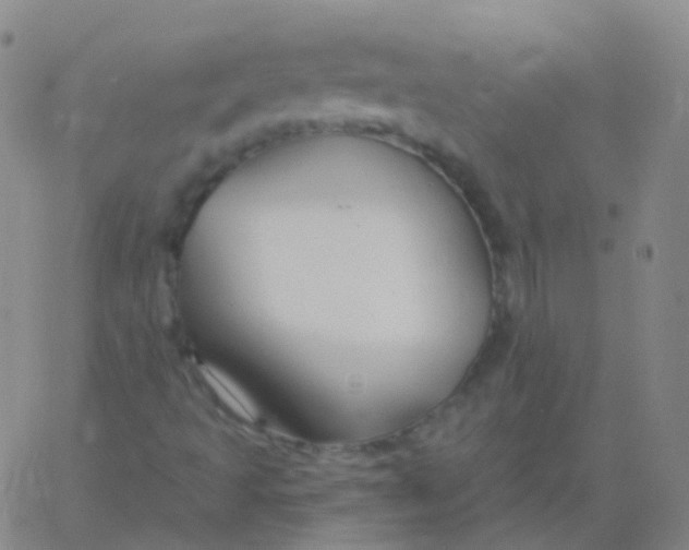 X0000061751493200512231512