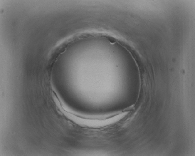 X0000061751494200512231512