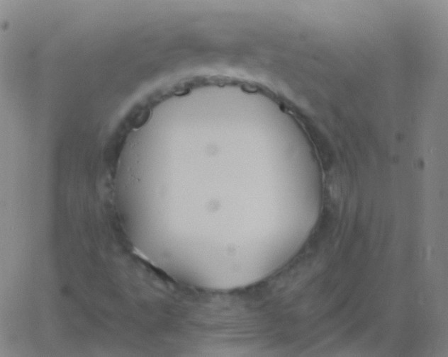 X0000061751495200512231512