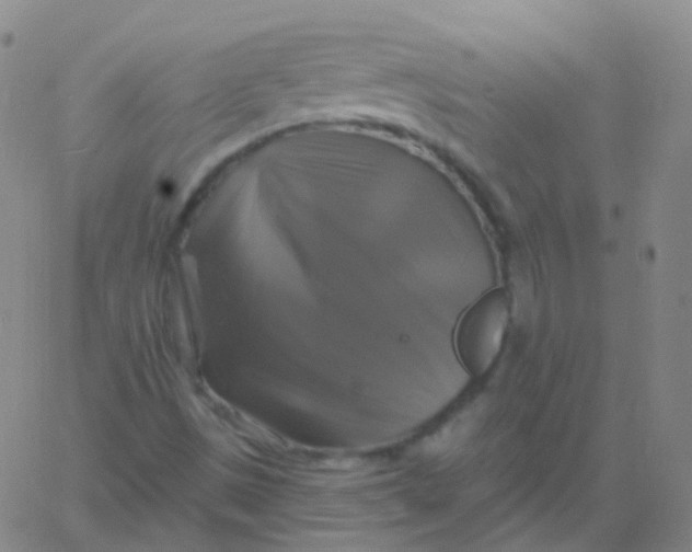 X0000061751497200512231512