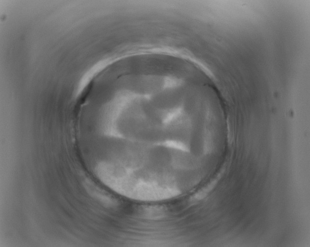 X0000061751501200512231512