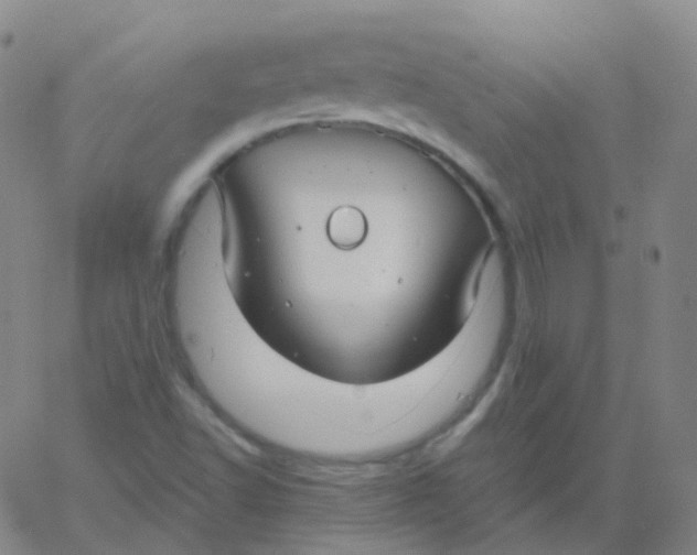 X0000061751502200512231512