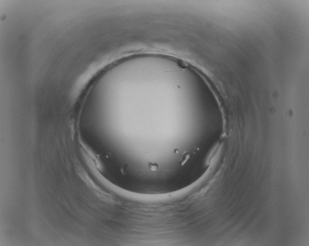 X0000061751503200512231512