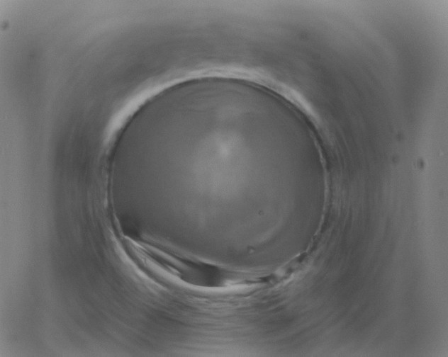 X0000061751504200512231512