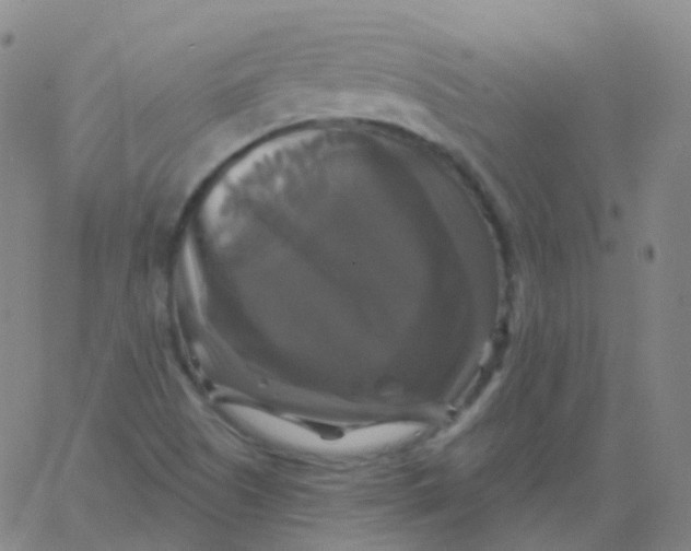 X0000061751505200512231512