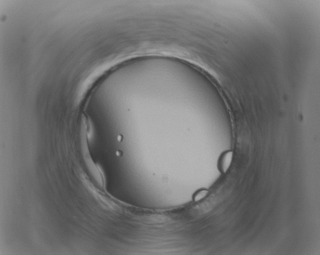 X0000061751507200512231512