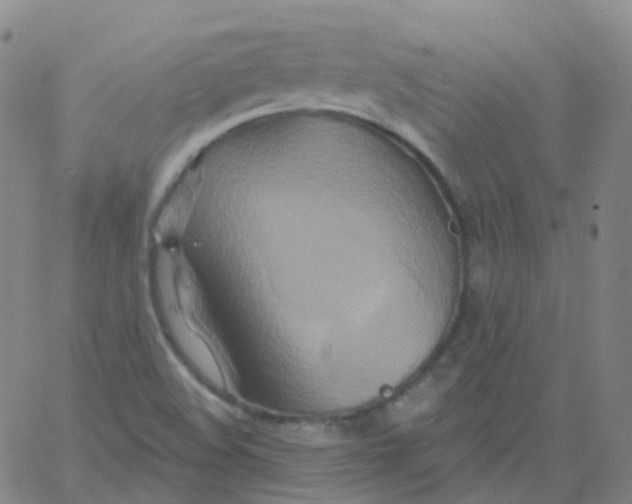 X0000061751508200512231512