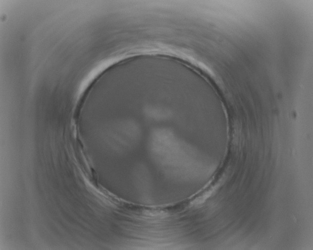 X0000061751509200512231512