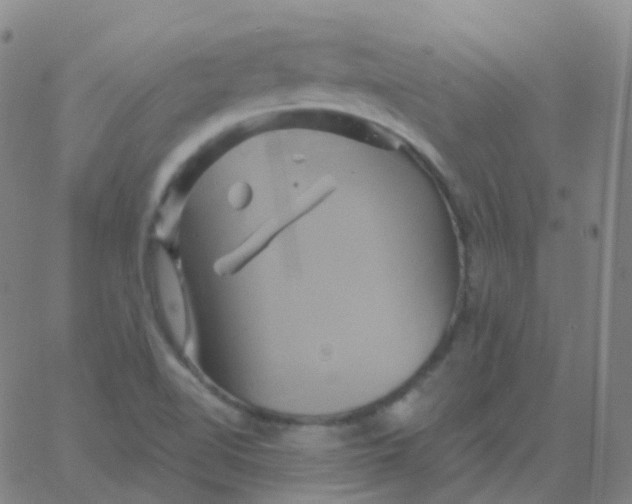 X0000061751510200512231512