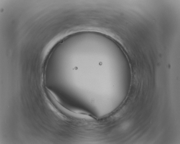 X0000061751511200512231512