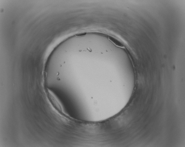 X0000061751512200512231512