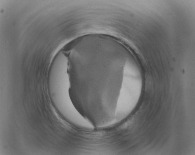 X0000061751513200512231512