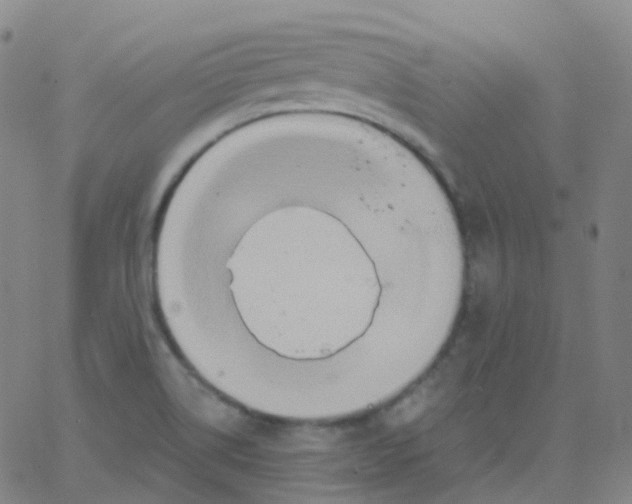 X0000061751514200512231512