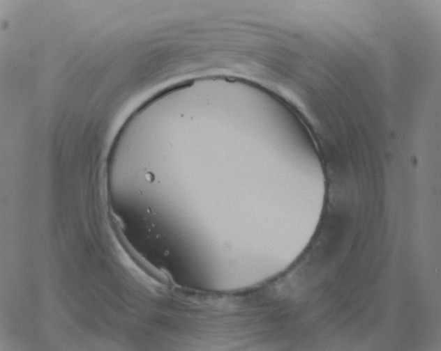 X0000061751516200512231512