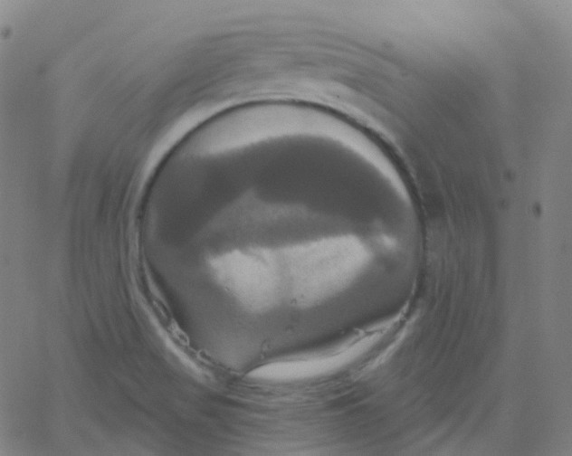 X0000061751517200512231512