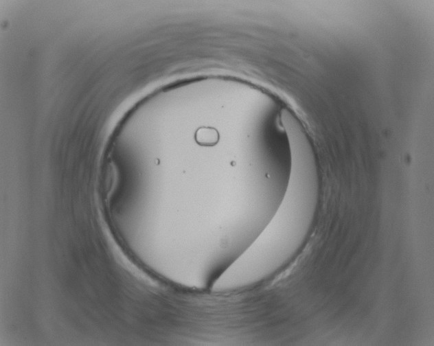 X0000061751518200512231512