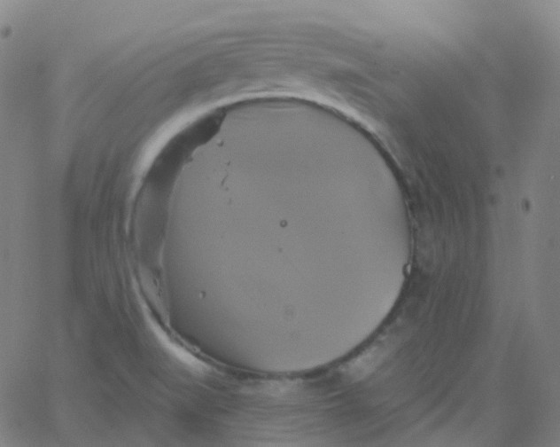 X0000061751519200512231512