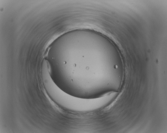 X0000061751521200512231512