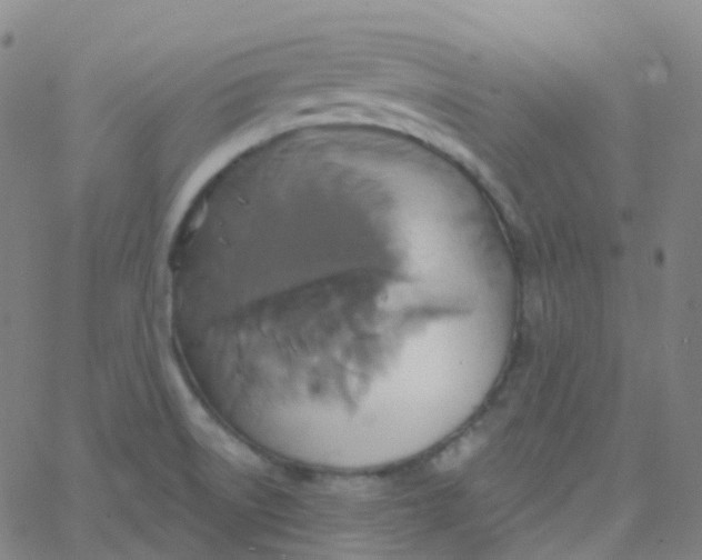 X0000061751522200512231512