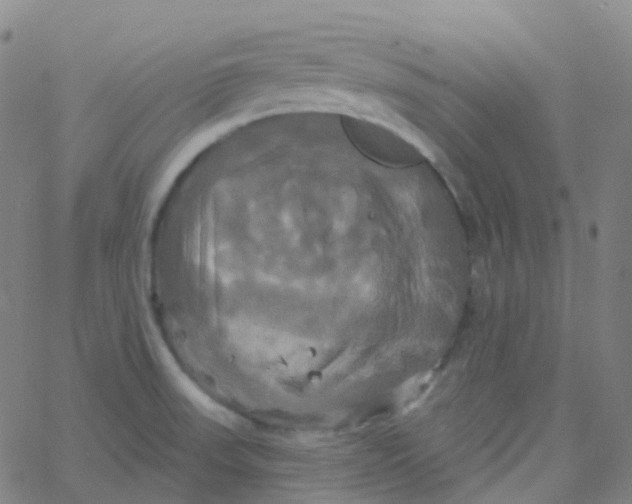 X0000061751523200512231512