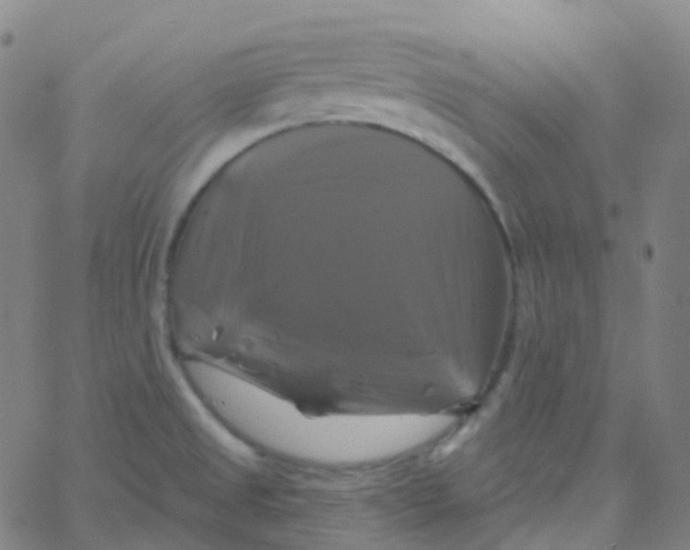 X0000061751525200512231512