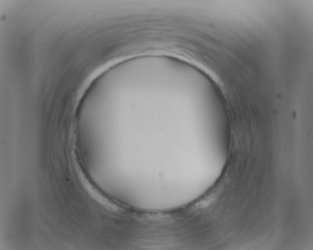 X0000061751526200512231512