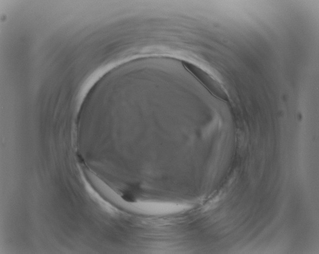 X0000061751527200512231512