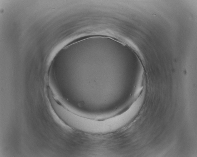 X0000061751528200512231512