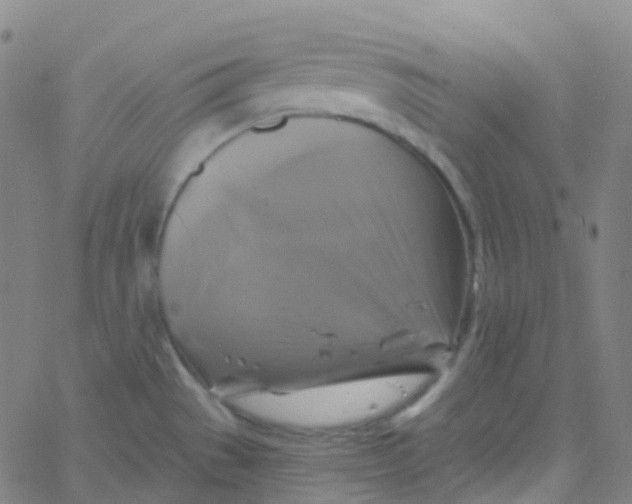 X0000061751529200512231513