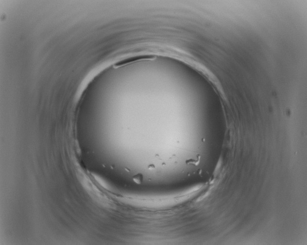 X0000061751530200512231513