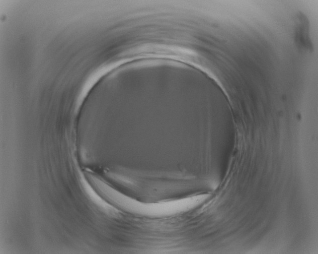 X0000061751531200512231513