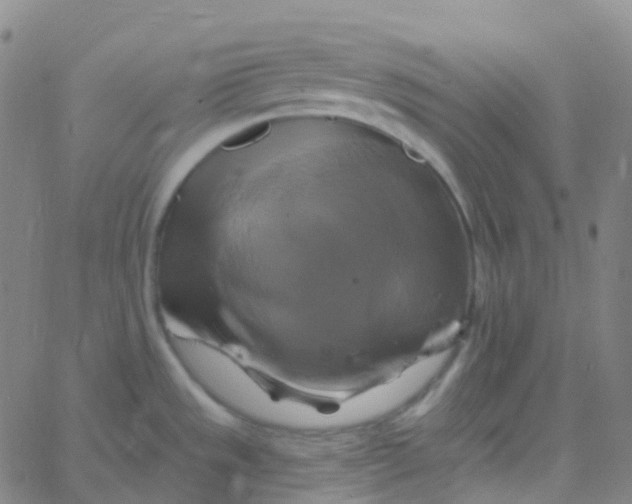 X0000061751533200512231513