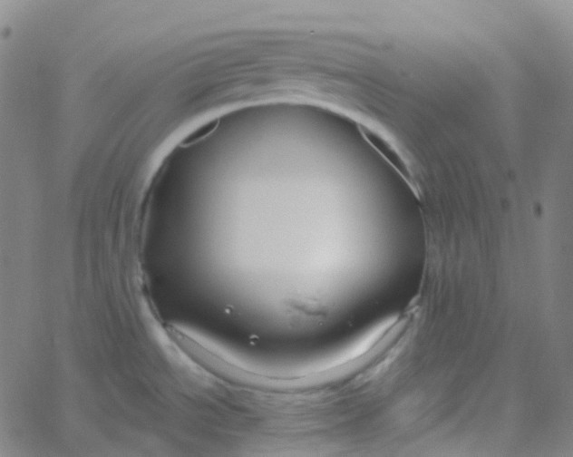 X0000061751534200512231513