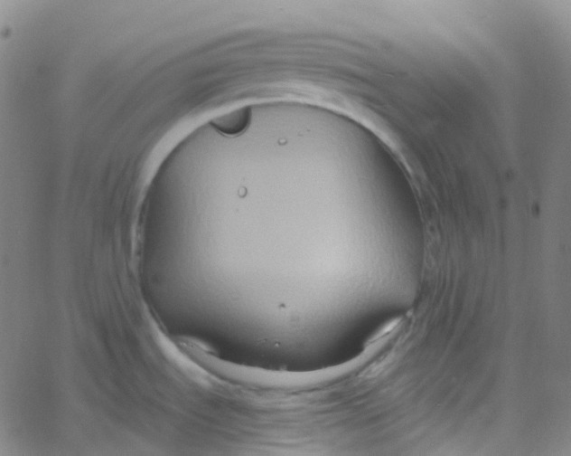 X0000061751535200512231513