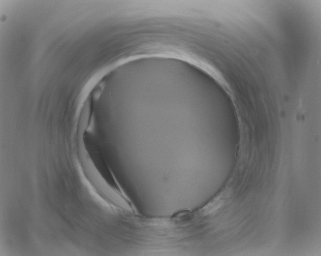 X0000061751536200512231513