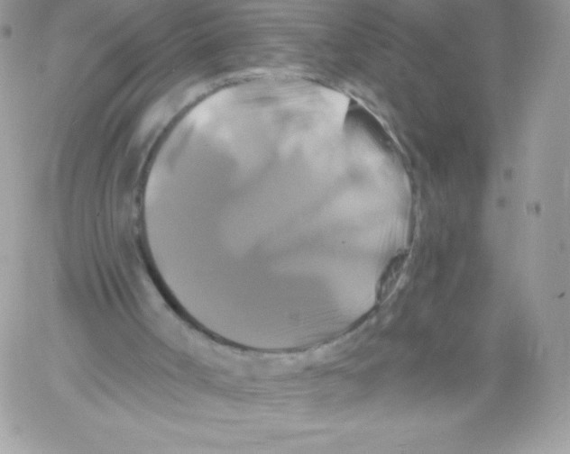 X0000061750002200512302250