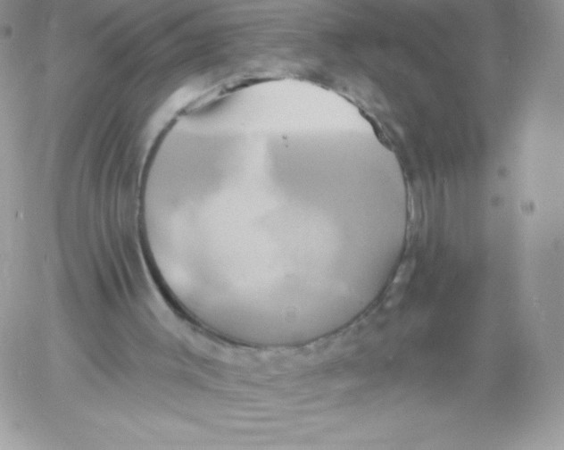 X0000061750003200512302250