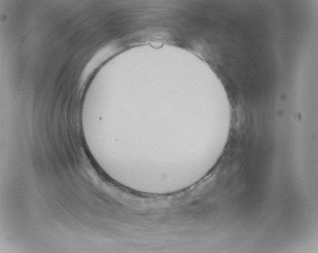 X0000061750004200512302250