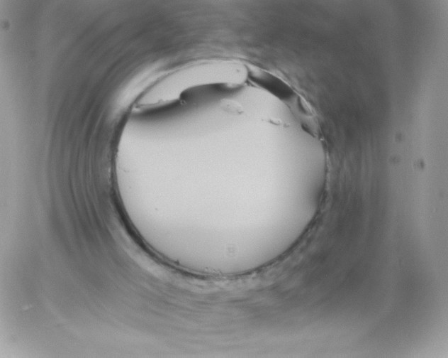 X0000061750005200512302250