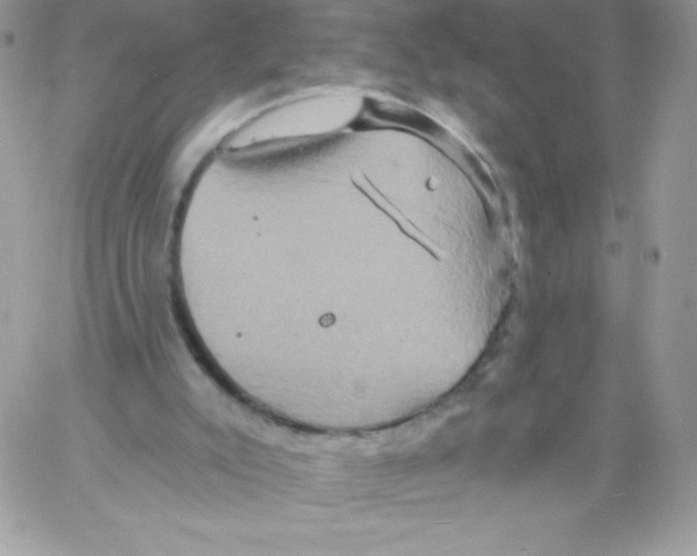 X0000061750007200512302250